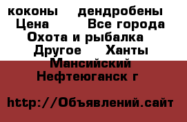 коконы    дендробены › Цена ­ 25 - Все города Охота и рыбалка » Другое   . Ханты-Мансийский,Нефтеюганск г.